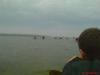 dsc03340_t1.jpg